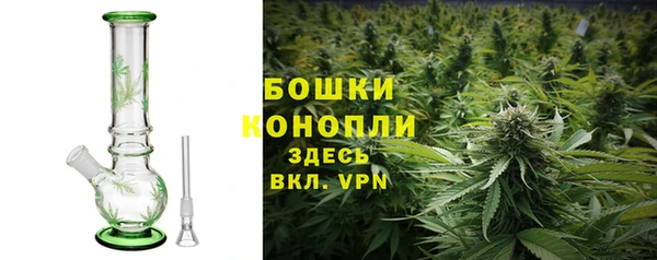 эйфоретик Осташков