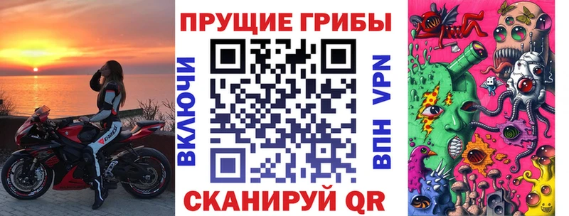 mega рабочий сайт  Никольское  Галлюциногенные грибы мицелий 